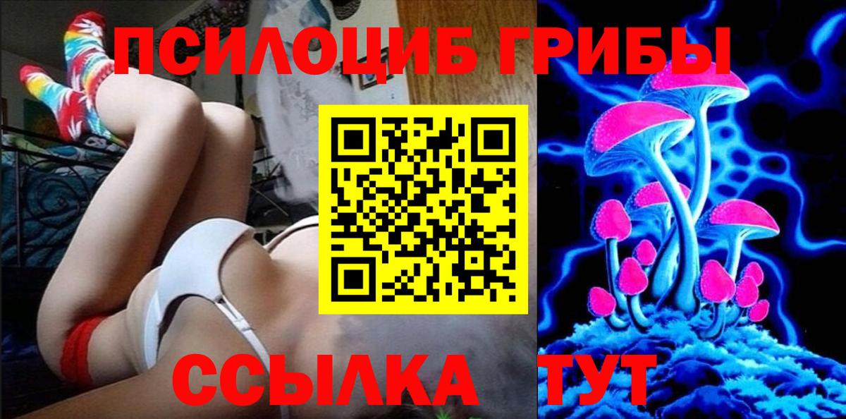 Псилоцибиновые грибы Cubensis Кандалакша