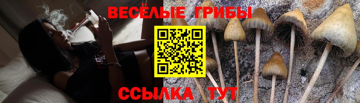 Галлюциногенные грибы GOLDEN TEACHER  Галлюциногенные грибы ЛСД  Кандалакша  Вход с VPN 